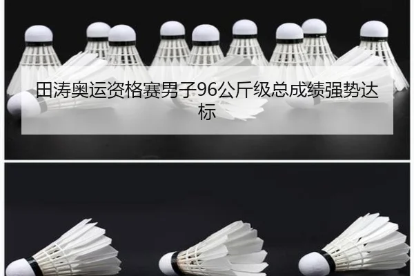 田涛奥运资格赛男子96公斤级总成绩强势达标